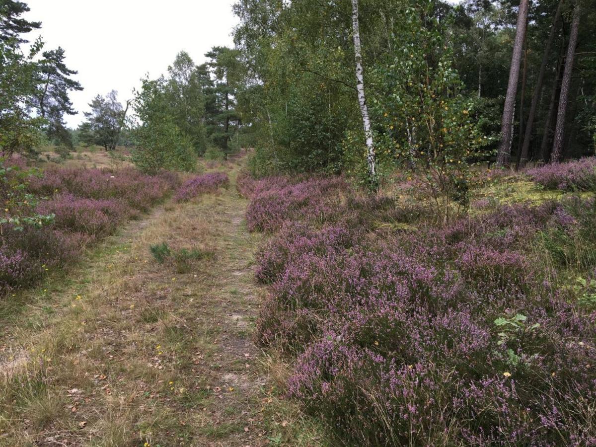 Ferienhof Timmerloher Heide Soltau Exterior foto