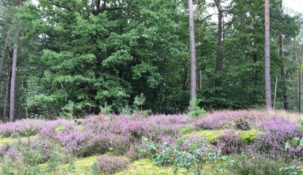 Ferienhof Timmerloher Heide Soltau Exterior foto